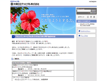 Tablet Screenshot of okinawa-holiday.net